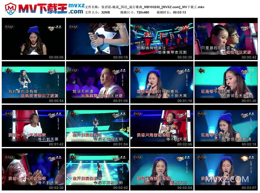 张碧晨-她说_国语_流行歌曲_MB103230